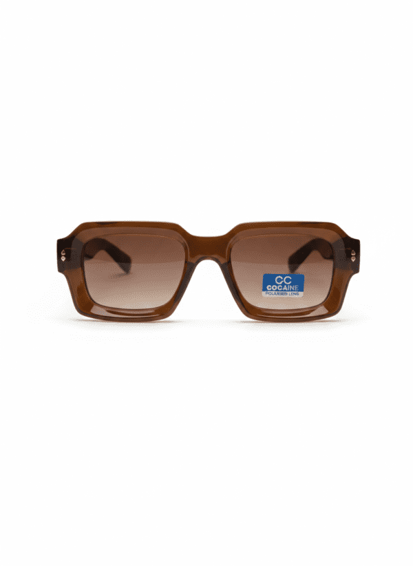 Rectangular Wayfarer Polarised