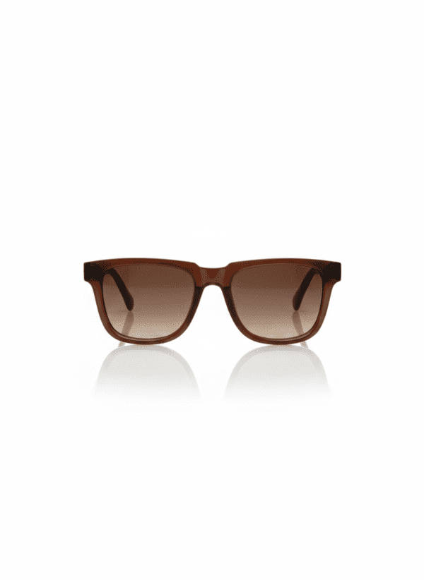 Wayfarer Polarised