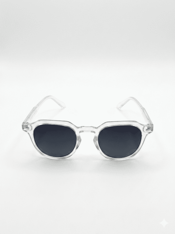 Hexagonal Polarised Sunglasses