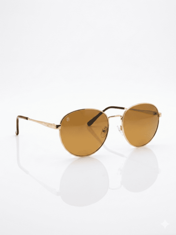 Round Polarised Sunglasses